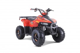 ATV TAO MOTORS THE MUDHAWK...