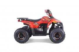 ATV TAO MOTORS THE MUDHAWK...