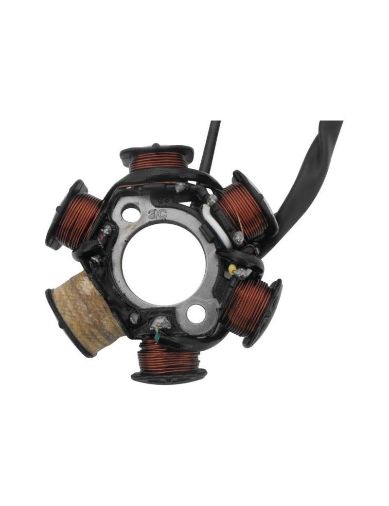129 Stator,magneto 6 poles...