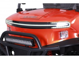 DENAGO Rover XL 6 Electric...