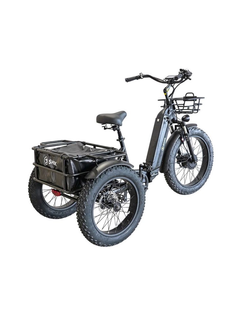 Shok triomph 2 moteurs 52v...