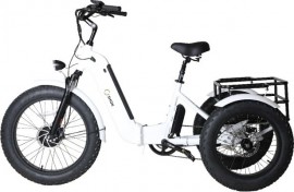 Shok triomph 2 moteurs 52v...