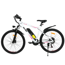 GOTRAX EBE3 500w 48v.-10Ah....