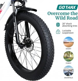 GOTRAX EBE5 500W 48V 13Ah...