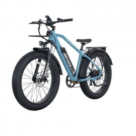 GOTRAX EBE5 500W 48V 13Ah Electric Bike