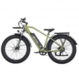 GOTRAX EBE5 500W 48V 13Ah...