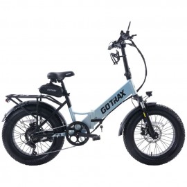 GOTRAX F3V2 500w....