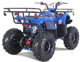 T-Force de Tao Motor -...