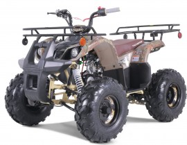 Tao Motor T-Force -...