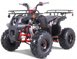 Tao Motor T-Force - Automatic 120 cc - Gas ATV