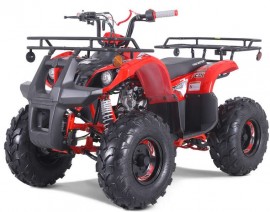 Tao Motor T-Force -...