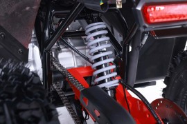 Denago MUDHAWK 120cc EFI -...