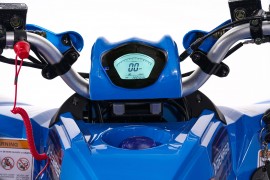 Denago MUDHAWK 120cc EFI -...