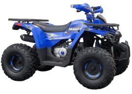 Denago MUDHAWK 120cc EFI -...