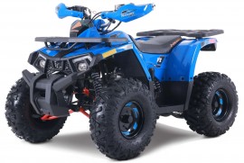 Denago MUDHAWK 120cc EFI -...