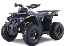 Denago MUDHAWK 120cc EFI -  Automatique - VTT à essence