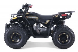 Denago MUDHAWK 120cc EFI -...