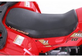 Denago MUDHAWK 120cc EFI -...
