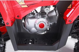 Denago MUDHAWK 120cc EFI -...