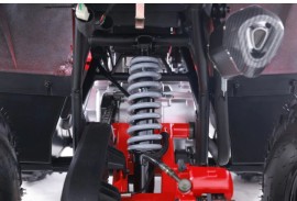 Denago MUDHAWK 120cc EFI -...