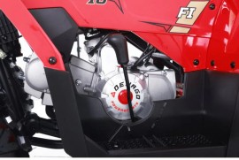 Denago MUDHAWK 120cc EFI -...