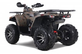 DENAGO MUDHAWK 200 EFI |...