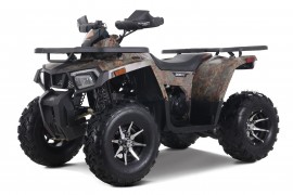 DENAGO MUDHAWK 200 EFI |...