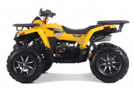 DENAGO MUDHAWK 200 EFI |...