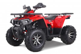 DENAGO MUDHAWK 200 EFI |...