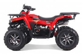 DENAGO MUDHAWK 200 EFI |...