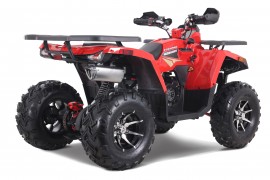 DENAGO MUDHAWK 200 EFI |...