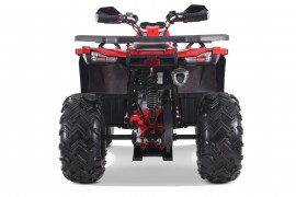 DENAGO MUDHAWK 200 EFI |...