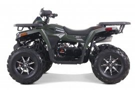 DENAGO MUDHAWK 200 EFI |...