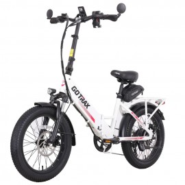 GOTRAX R2v2 500w....