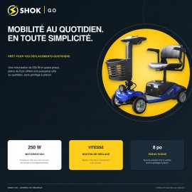 SHOK Go 250W 24V 12Ah –...