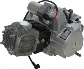 4 Engine TAOTAO 125cc automatic D-N-R with electric starter for atv