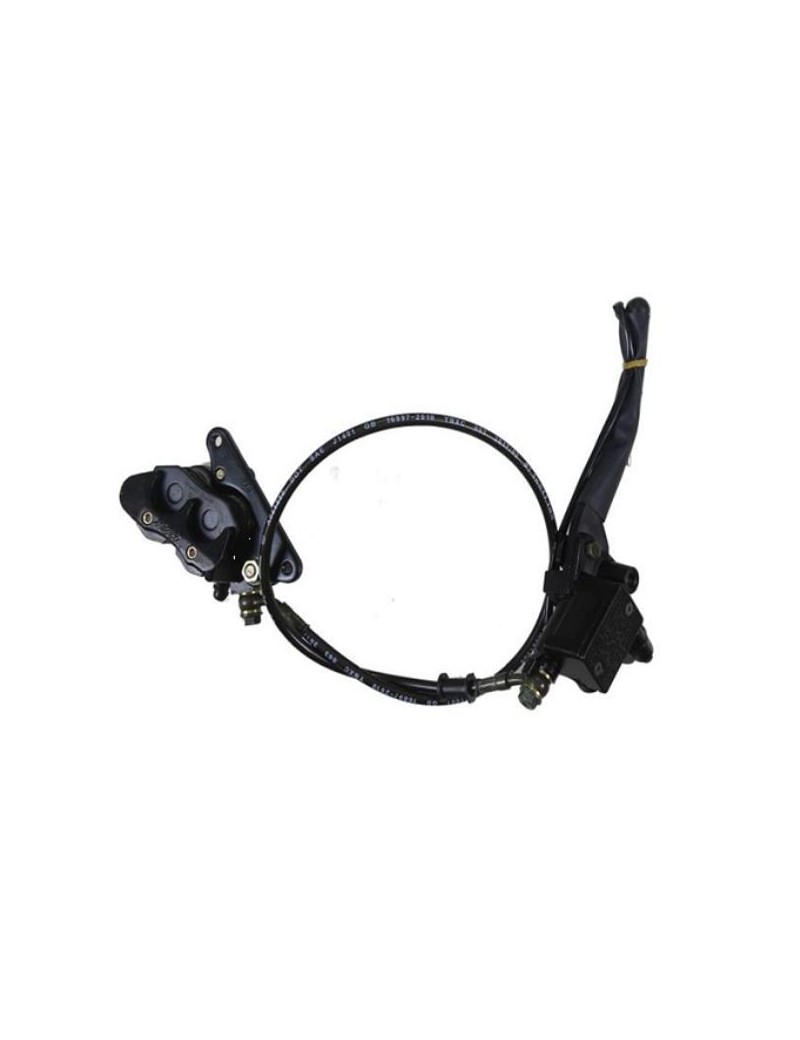 Rear disc brake assembly kit for electric scooter Taotao M3