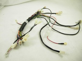 4 Wire harness Taotao 110b...