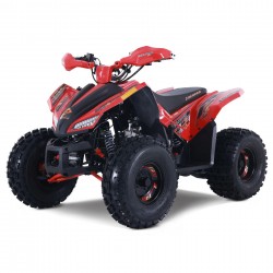 ATV parts