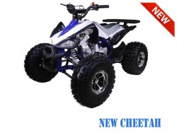 Vtt TAO MOTORS NEW CHEETAH