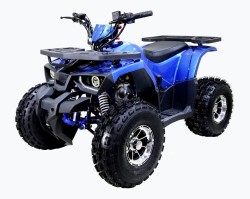 Atv TAO MOTORS RAPTOR 125cc