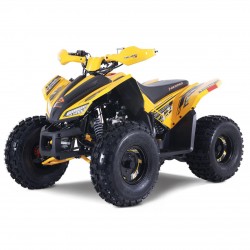 Atv DENAGO TRAILHAWK